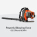Husqvarna 350BT Gas Backpack Leaf Blower